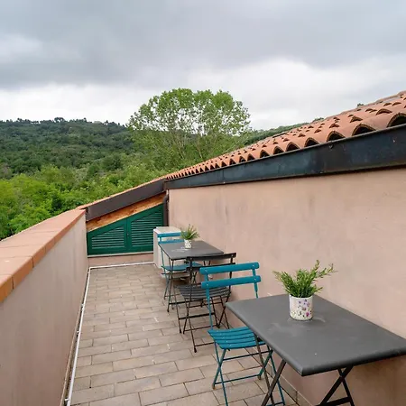 Il Giardino Del Sole - Rosmarino *